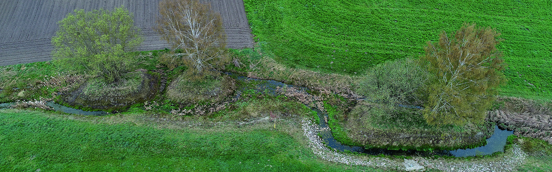 Header Langenmosen 034