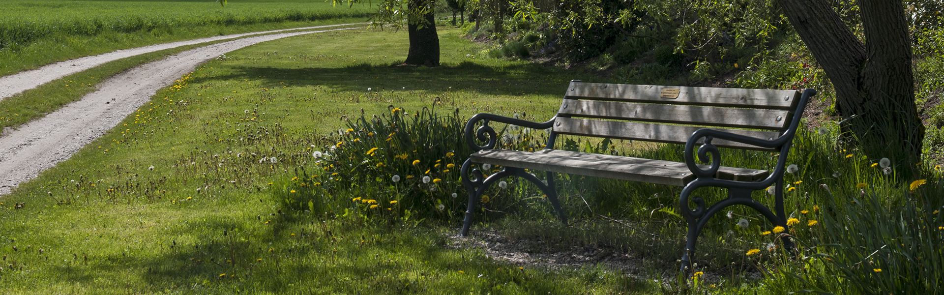 Header Langenmosen 037